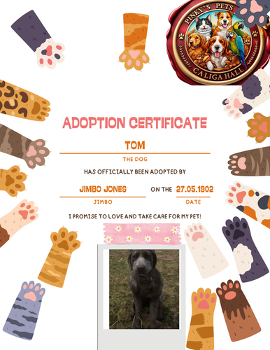 Colorful Cute Kid Cat Adoption Certificate.png