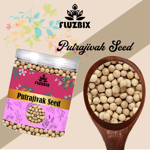 Putrajivak Seed.jpg