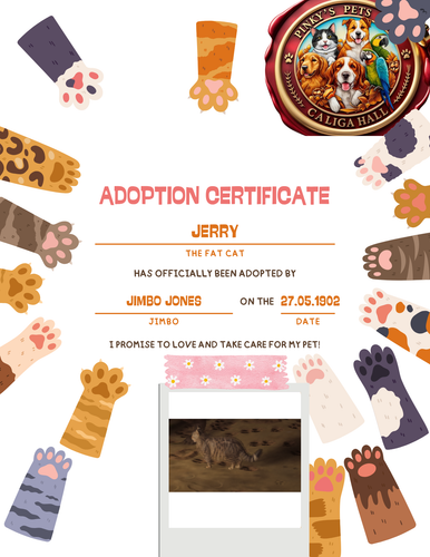 Colorful Cute Kid Cat Adoption Certificate.png