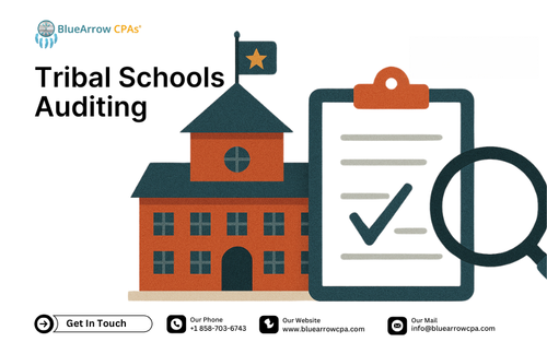 Tribal Schools Auditing .png