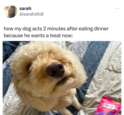 Screenshot 2025 05 27 at 9.50.22 AM.png