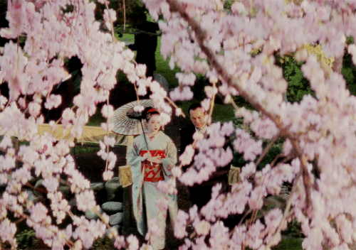 tumblr acf619adc08867f3093455a0863fa66a 363ae618 540.gif