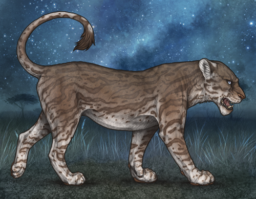 Screenshot 2025 05 27 143048.png