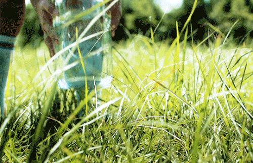 tumblr c07c429a7d17a49fbc24279d9aaf6e25 2c74f31c 540.gif