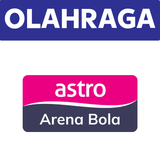Astro Arena Bola