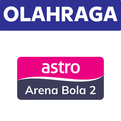 Astro Arena Bola 2.png