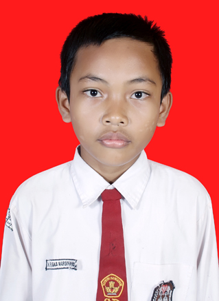 15.jpg