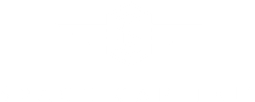 Space Capital White.png