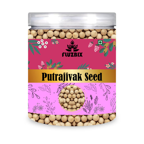 Putrajivak Seed.jpg