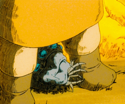 tumblr 633dbcb15a1b5ad342de7dd057d9ca7c f0f6df6d 540.gif