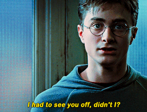 tumblr 533865cb65fd6814fa0b8aae57e0a7d4 dea30c20 540.gif