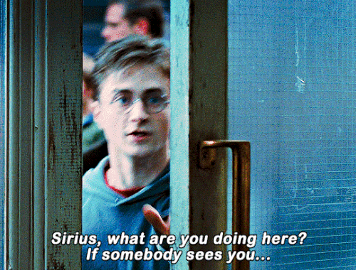 tumblr 293eb9eff48e1a32f06df2fef36b1f48 6a67031a 540.gif