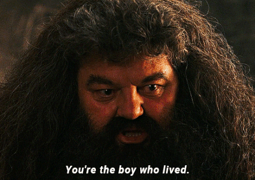tumblr 1f9624f3d7ead9f9f36079c3e1884558 1ef4194d 540.gif