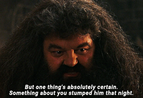 tumblr a636b87099edf9a06f3517ec2fc066e2 19d50410 640.gif