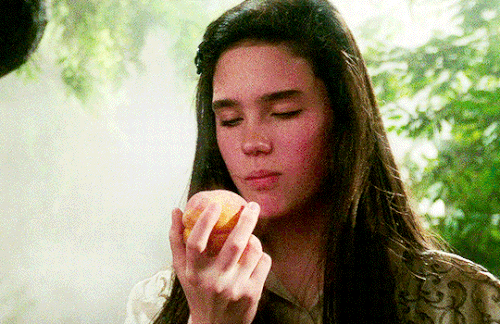 tumblr dcd4ec62b052374c13d462f99be76ce0 759eeb59 540.gif