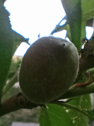 IMG 20250527 192845.jpg