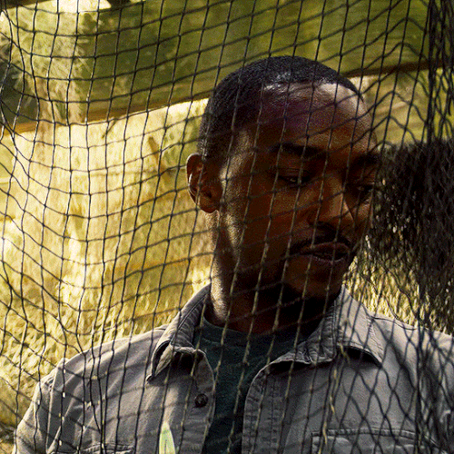 tumblr 50ea420e4e79d7b588d99244479199c5 eb5c8d70 540.gif