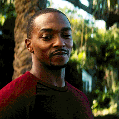 tumblr cb02791f35f654160eff85b2704ec64a 635bf948 540.gif