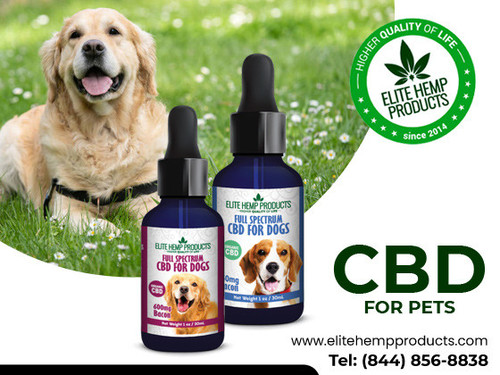 CBD for pets.jpg