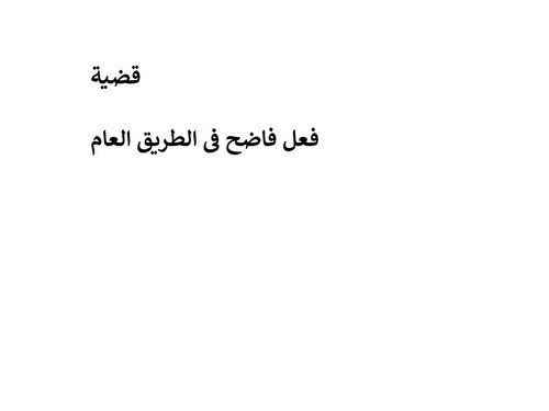 فضية فعل فاضح فى الطريق العام.jpg
