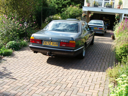 100D0005.jpg