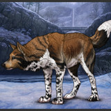 Screenshot 2025 03 16 12 41 48 411 com.android.chrome edit