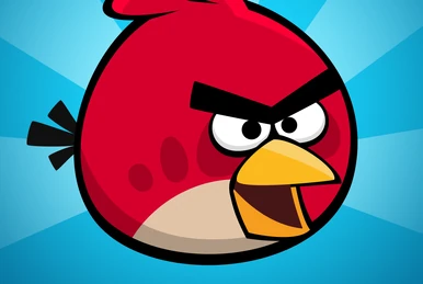 angery bird.webp