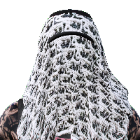 a6b86e2277bf.png