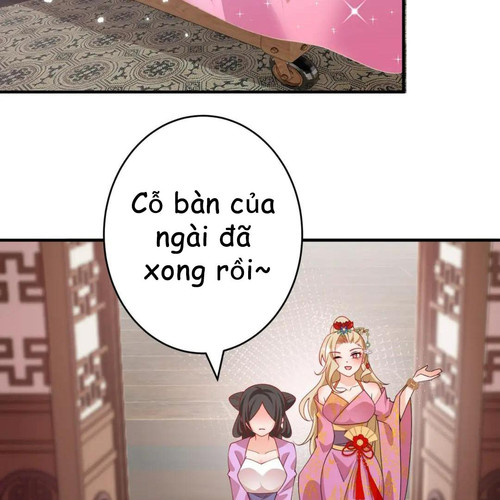 65.jpg