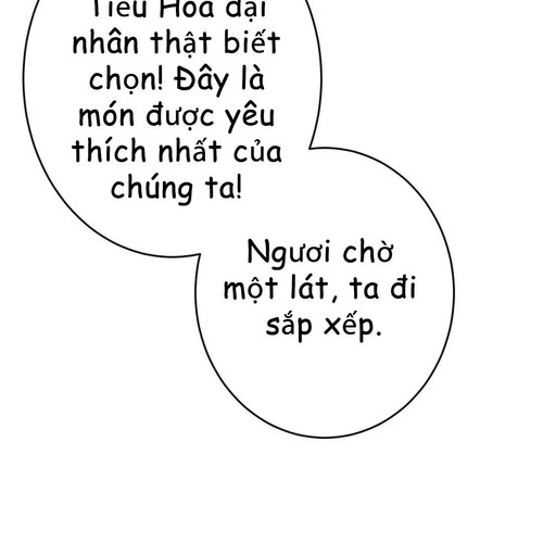 64.jpg