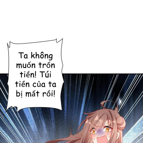 97.jpg
