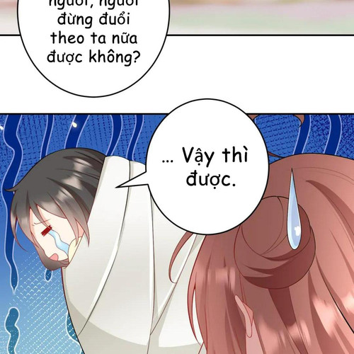 91.jpg