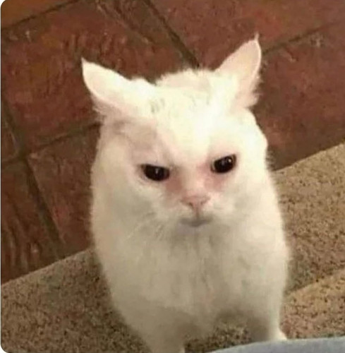 GmOhnovWMAAXccz.jpg