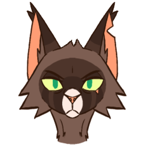 garlic silly cat oc front.png