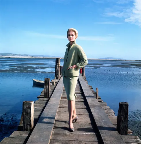 tippi.webp