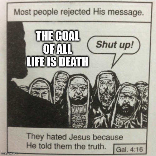 9nm02d.jpg