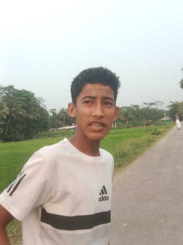 file 211.jpg