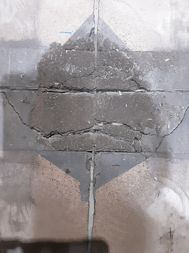 20250316 170032.jpg