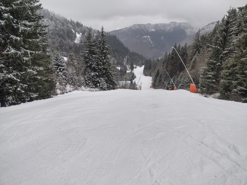 IMG 20250316 102825829 HDR.jpg