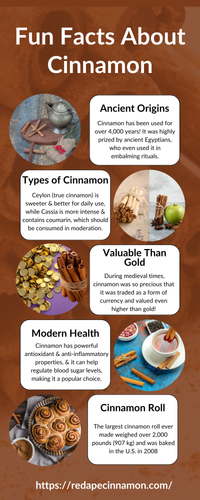 Fun Facts About Cinnamon.png