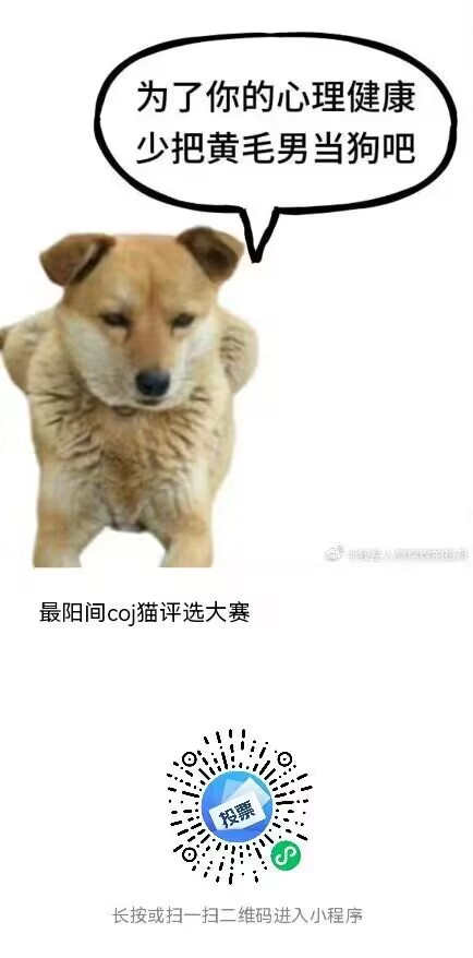 935fabe5013ea48e0855361ff85582e5.jpg