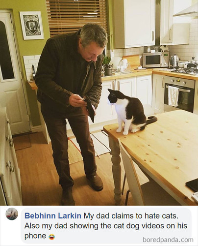 parents didnt want cat now loves them 5df8981d387cd 700.jpg