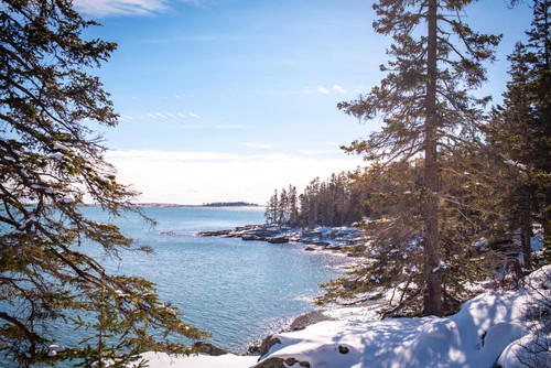 Capshore Photography WINTER b3b01e16 2d93 48a9 b9c1 9cc0eb78dffb.jpg