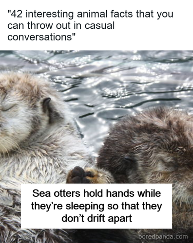 92264947 d9eb 43d4 a9f3 6664538b6866.png