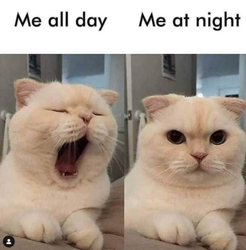 99 Sarcastic & Funny Memes About Life.jpg