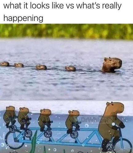 7e6ca0ee 8e50 4f0c b20d 5a14c9eb0af5.jpg