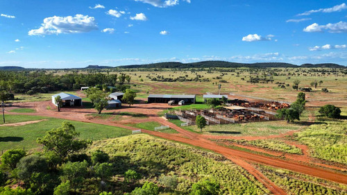GmL61f WUAEbJ6c.jpg