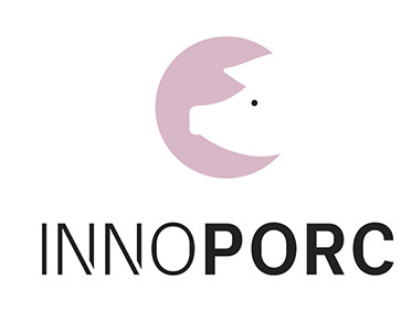 icono final.jpg