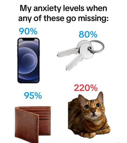 484829693 1379512119720999 2619254617874000660 n.jpg
