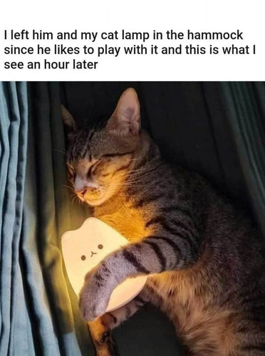 484199492 610757641954598 7454368792692333097 n.jpg